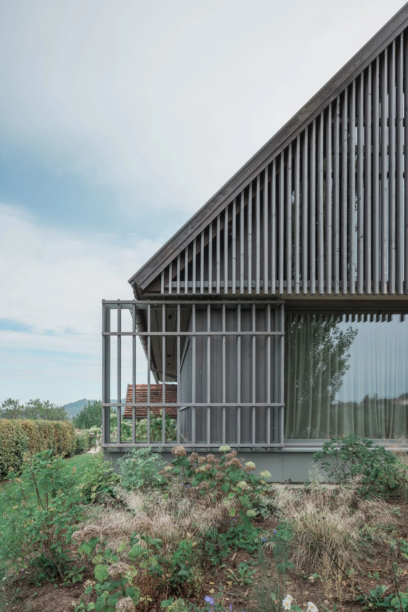 Дом на холме / Gangoly & Kristiner Architects