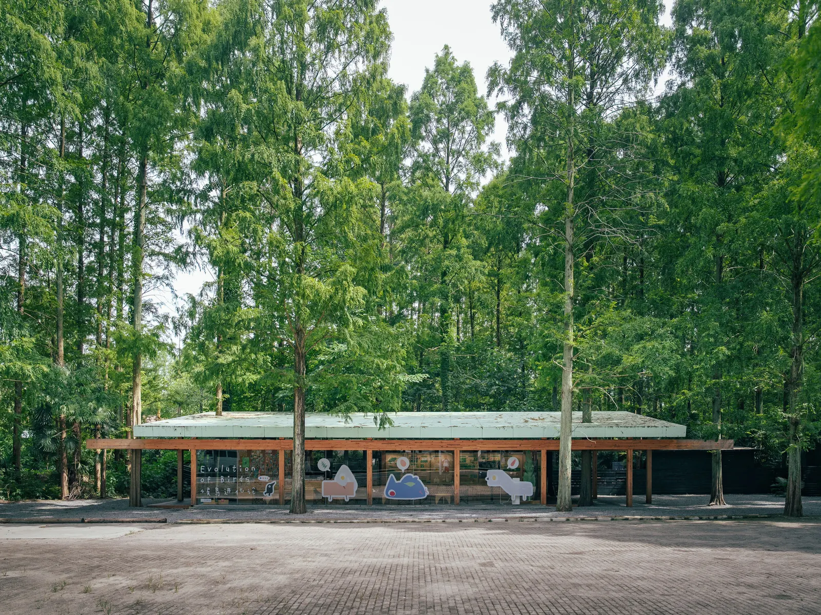 Wiki World Forest Store / Wiki World