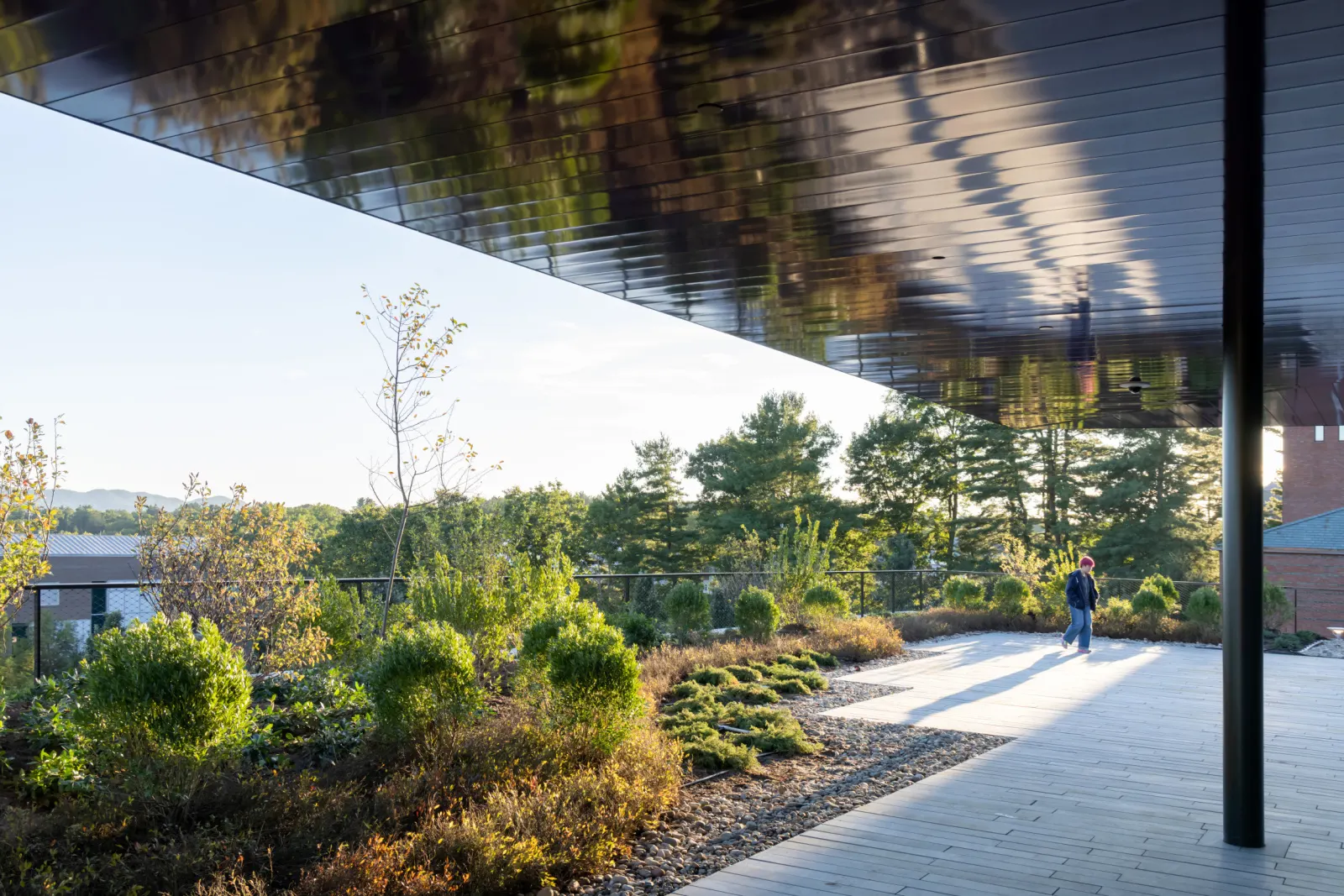 Amherst College / Herzog & de Meuron + Sasaki