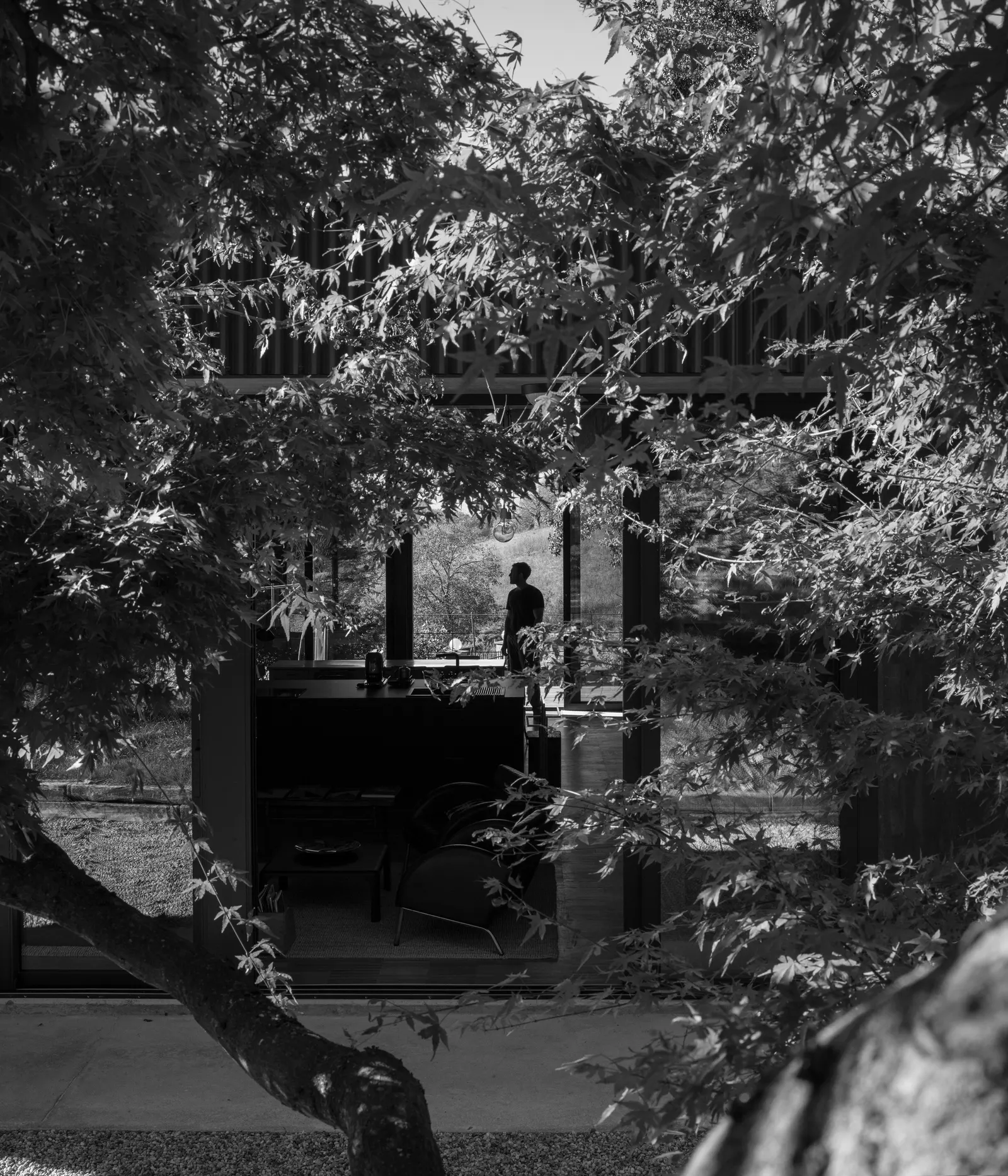 Незавершённый дом как граница между интерьером и ландшафтом / EX.