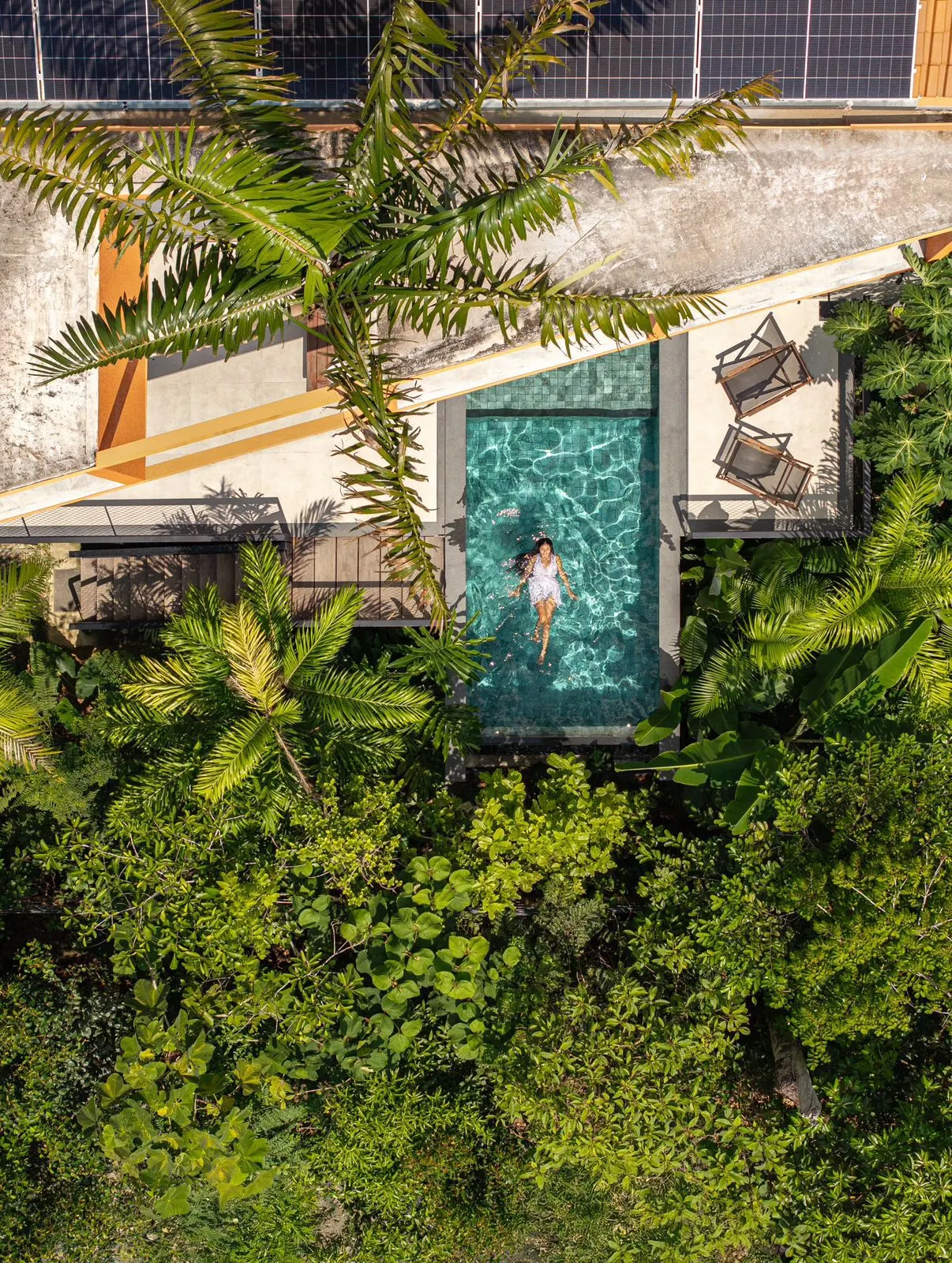 Casa Pupunha в Манаусе: компактный дом, спроектированный вокруг сохранённой пальмы pupunha