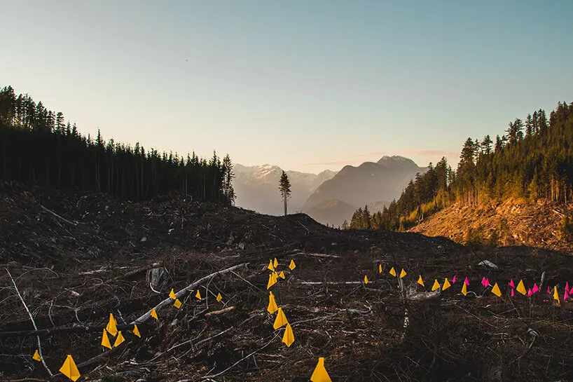 Flash Forest: как дроны помогают восстанавливать леса после пожаров в Канаде