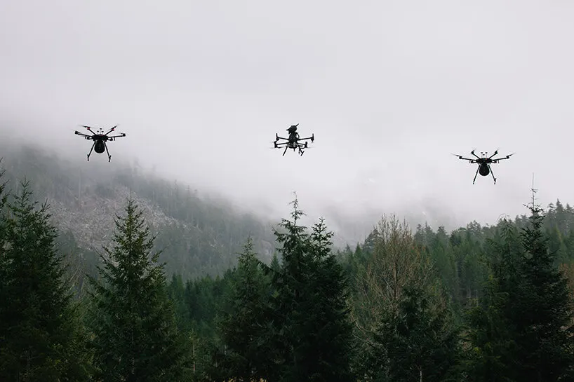 Flash Forest: как дроны помогают восстанавливать леса после пожаров в Канаде