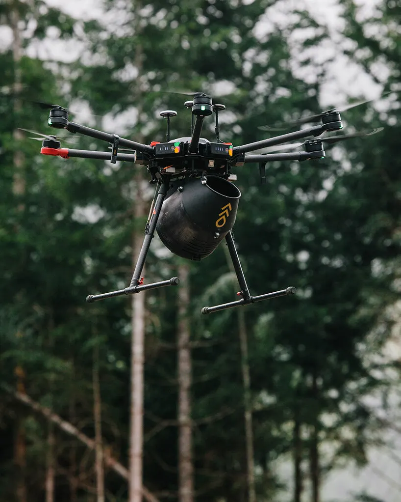 Flash Forest: как дроны помогают восстанавливать леса после пожаров в Канаде