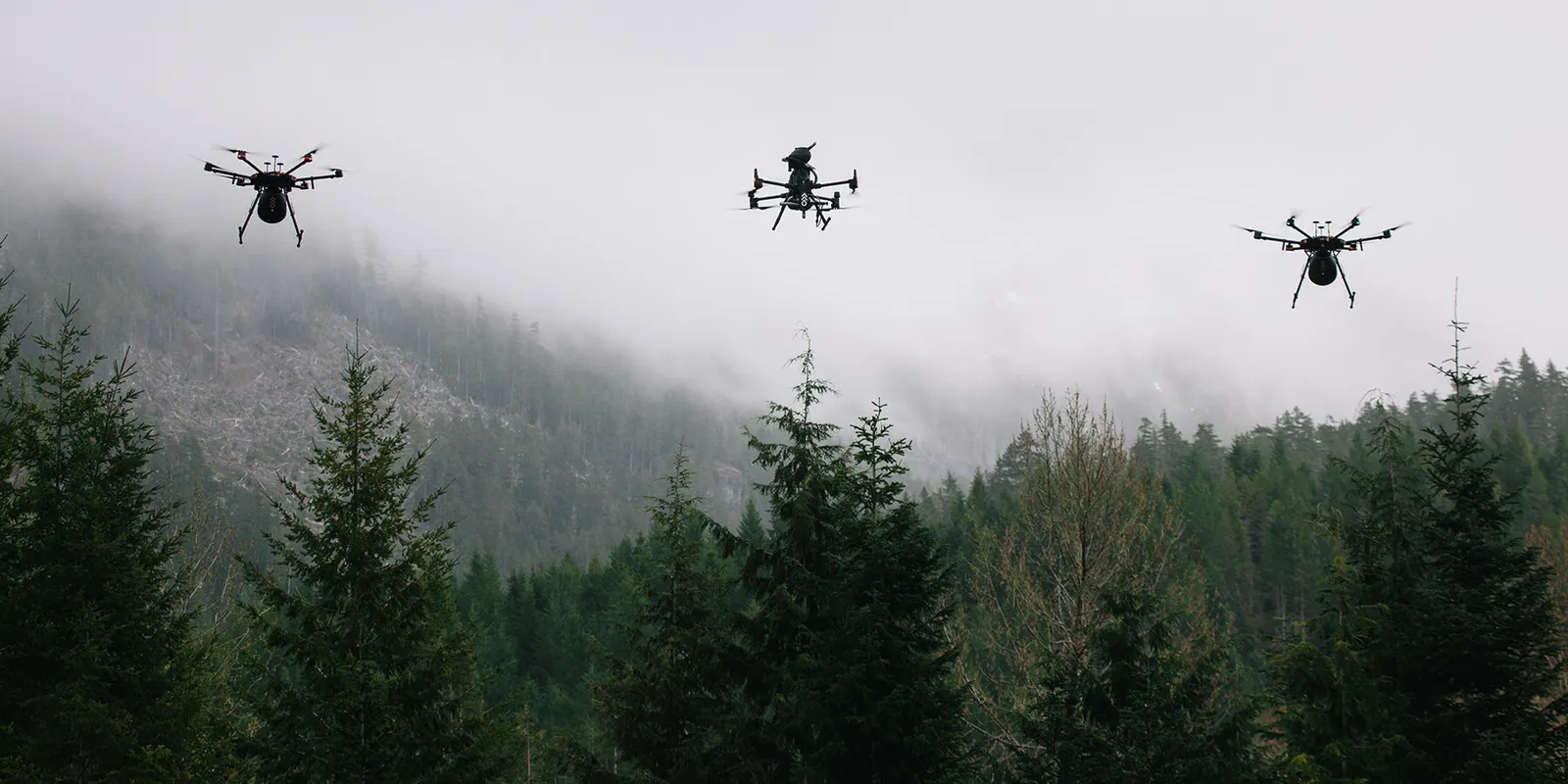 Flash Forest: как дроны помогают восстанавливать леса после пожаров в Канаде