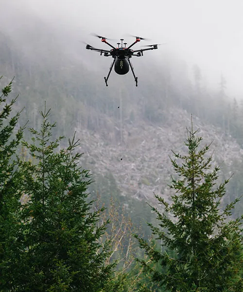 Flash Forest: как дроны помогают восстанавливать леса после пожаров в Канаде