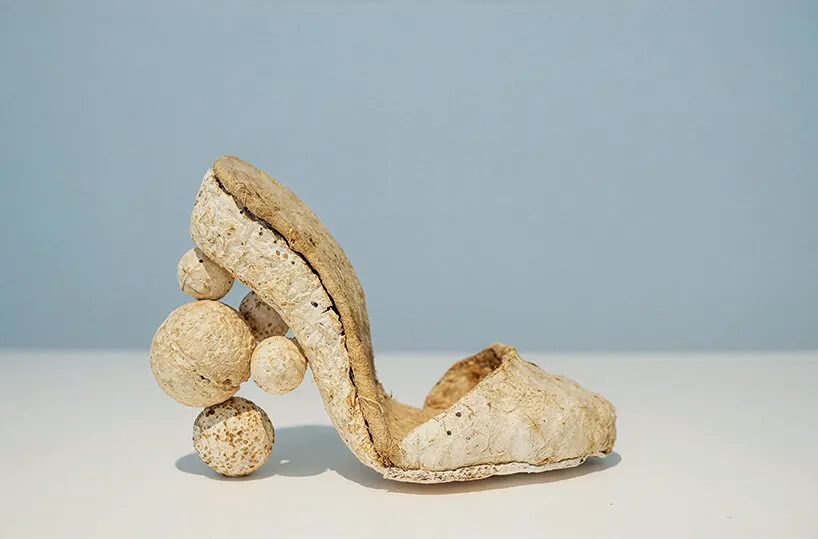 Грибы как язык искусства, дизайна и экологии: что показывает книга Phaidon о fungi