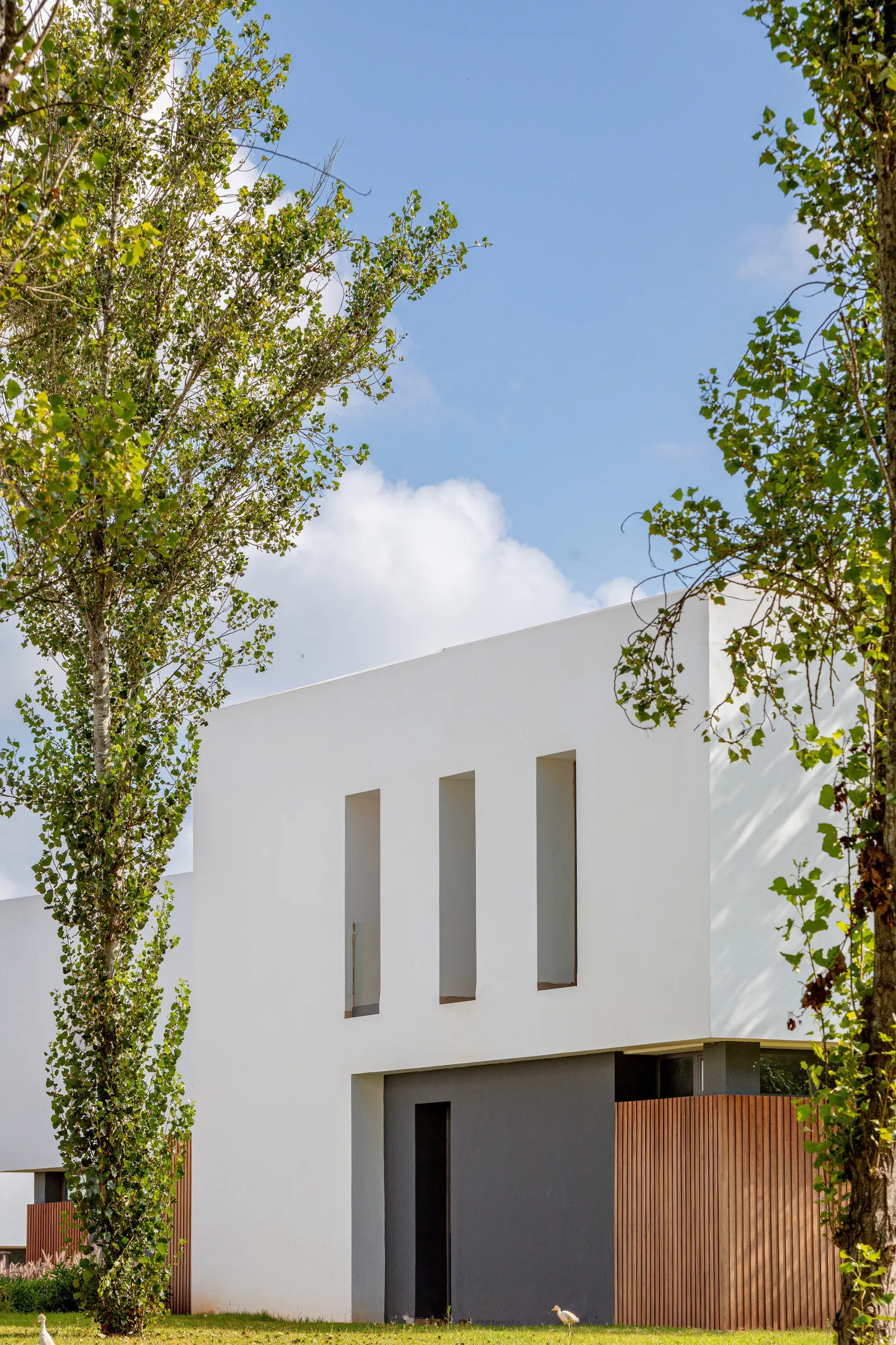 Kenitra Socio-Cultural Center / AGA STUDIO: культурно-общественный центр в ландшафтном парке Кенитры