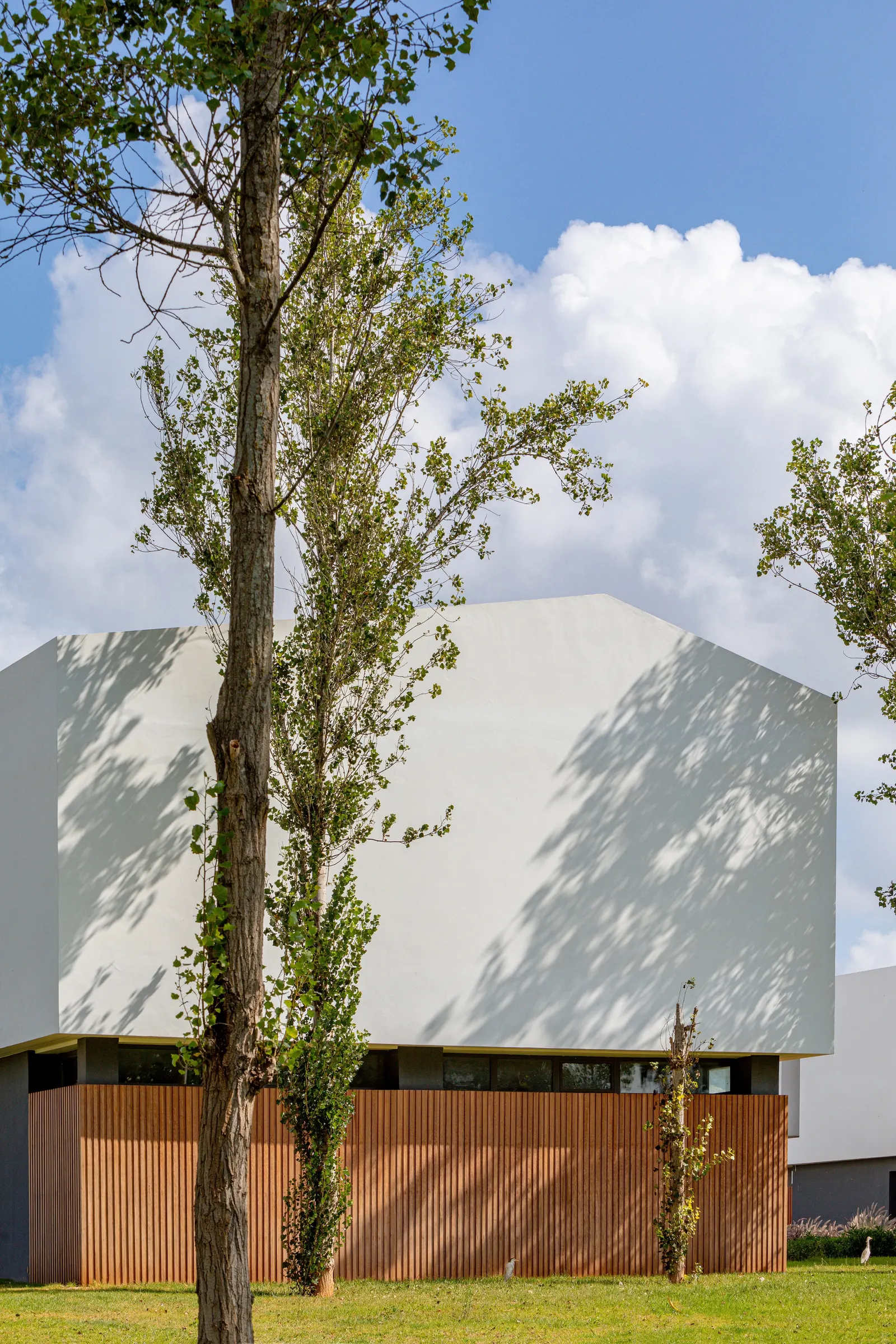 Kenitra Socio-Cultural Center / AGA STUDIO: культурно-общественный центр в ландшафтном парке Кенитры