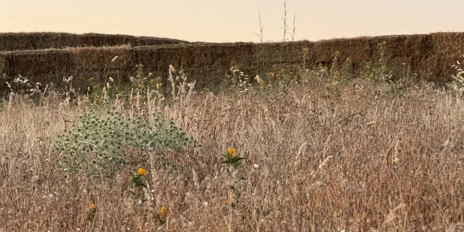 KURA: straw land art with amphitheater, experimental garden and walking path in rural Spain