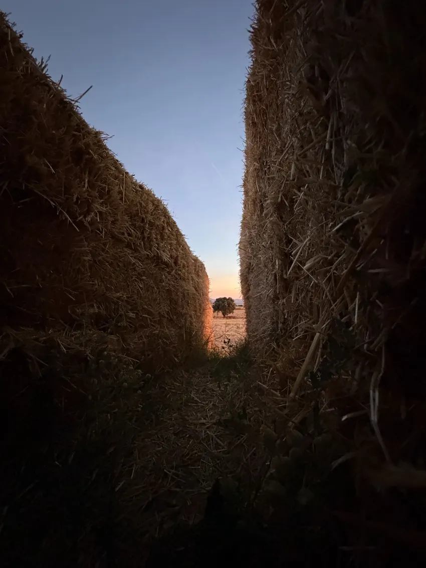 KURA: straw land art with amphitheater, experimental garden and walking path in rural Spain